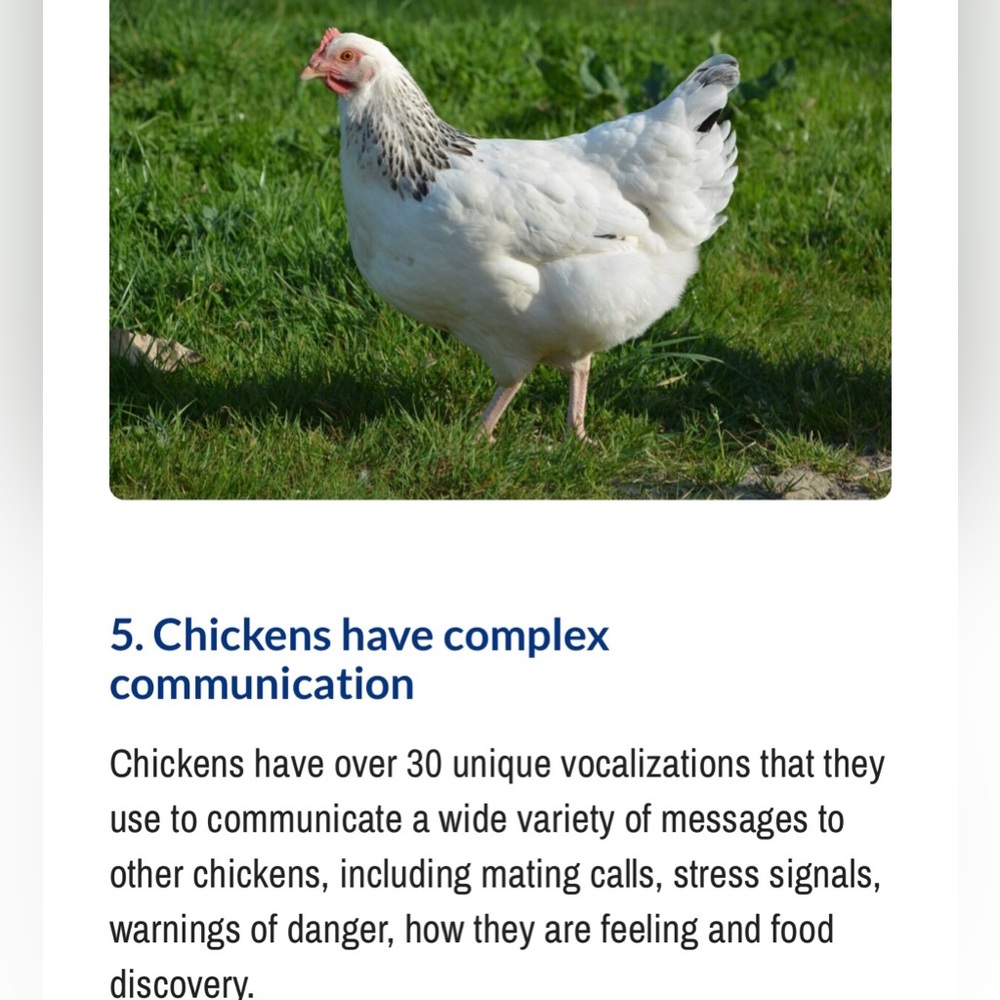 #4 LIKE LISTING #5 Comments Full - Picture 10 of 16